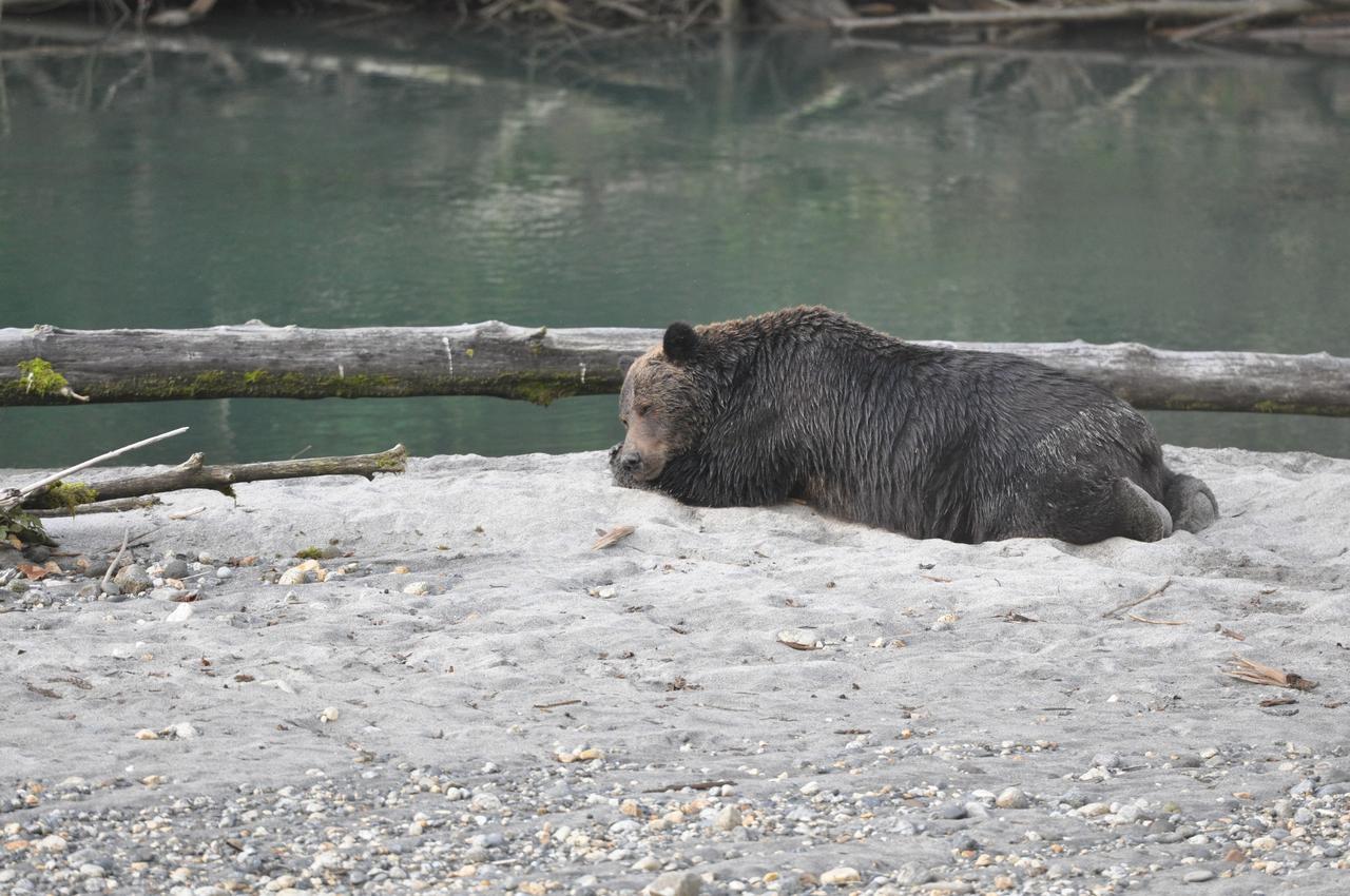 Homfray Lodge Desolation Sound Екстериор снимка